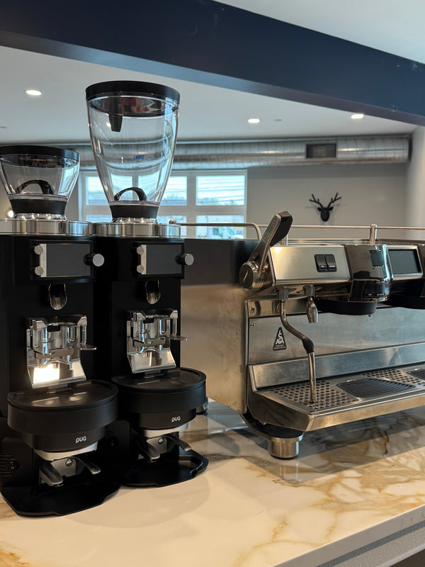 Reading Coffee Company Opens Second Café Location in Douglassville, PA