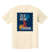 Retro Summer 2026 Comfort Colors Reading Coffee Company T-Shirt