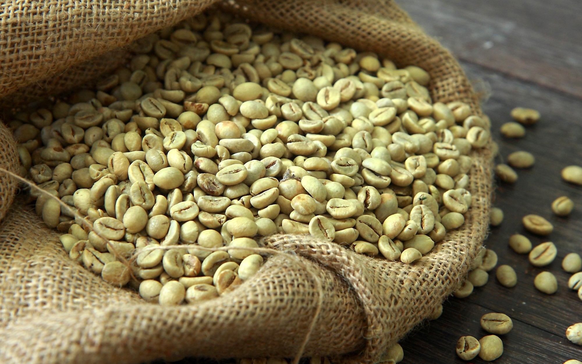 unroasted green coffee beans in a burlap bag